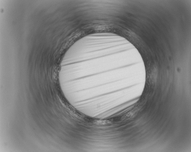 X0000052540277200507291858