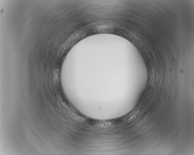 X0000052540278200507291858