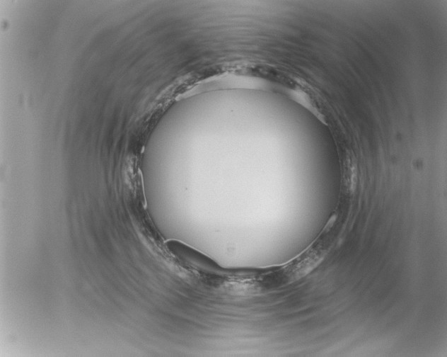 X0000052540280200507291858