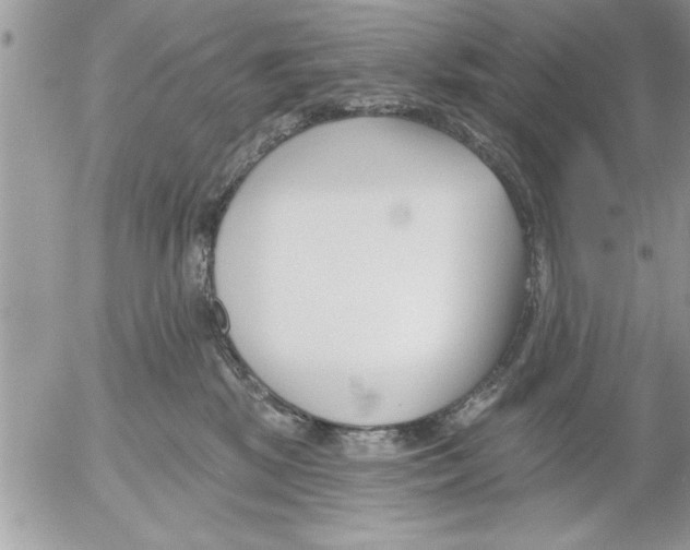 X0000052540281200507291858