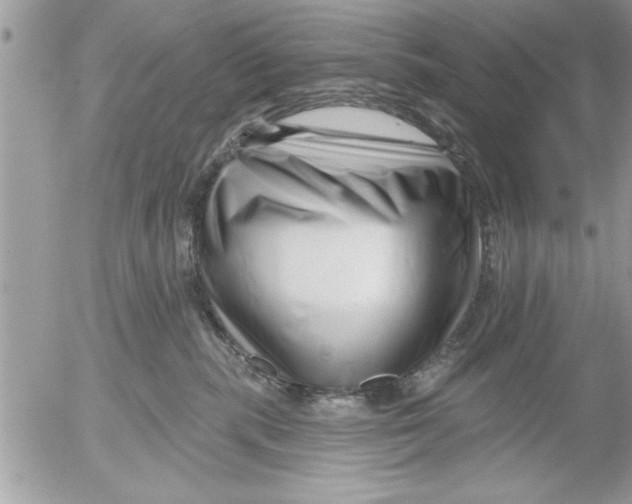 X0000052540283200507291858