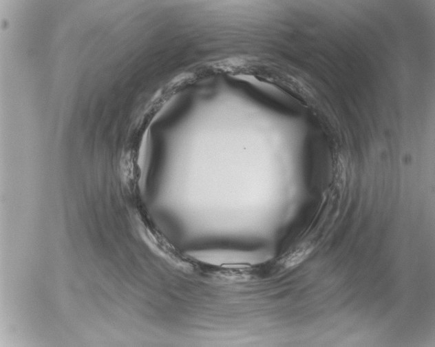 X0000052540284200507291858