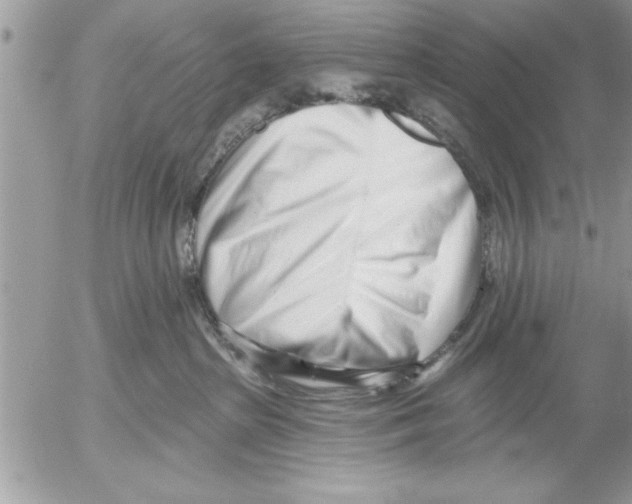 X0000052540285200507291858