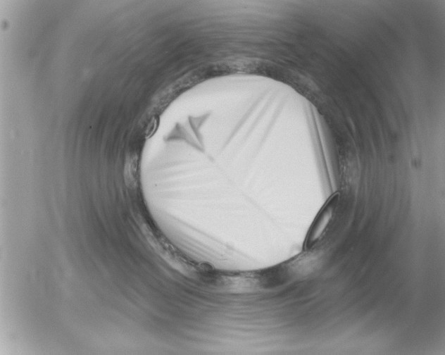 X0000052540286200507291858