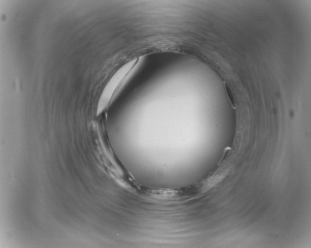 X0000052540288200507291858