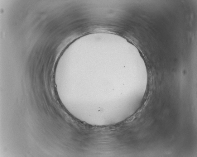 X0000052540289200507291857