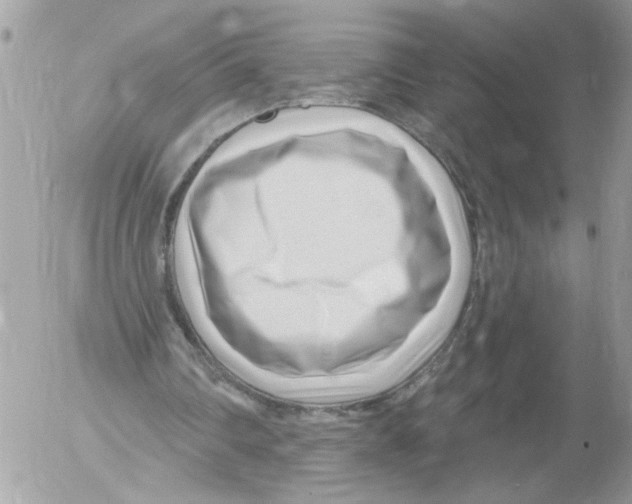 X0000052540290200507291857