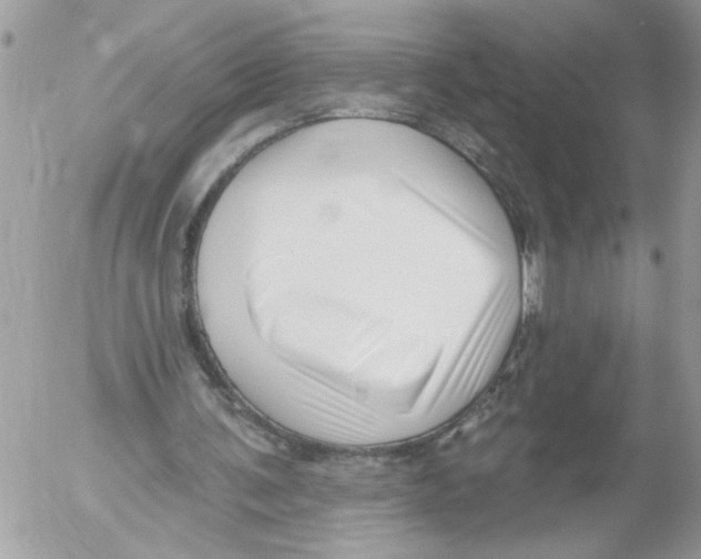 X0000052540291200507291857