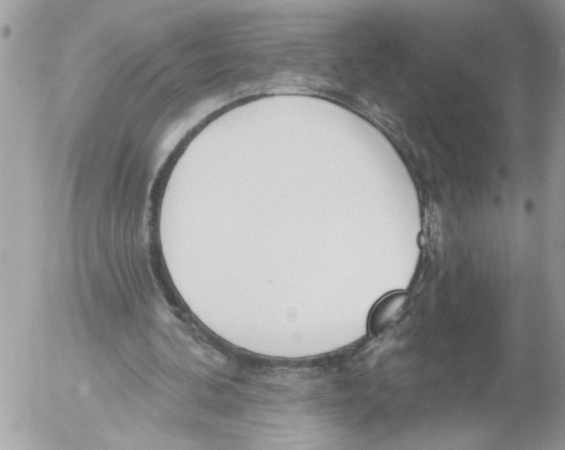 X0000052540292200507291857