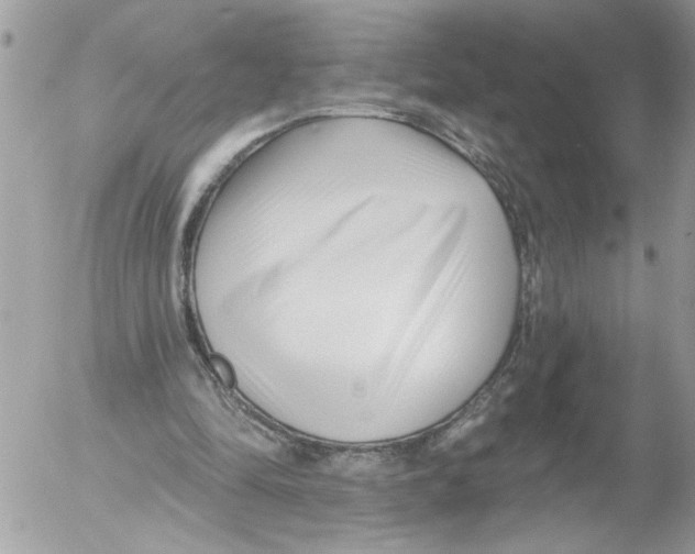 X0000052540294200507291857