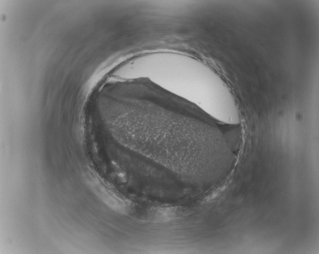 X0000052540295200507291857