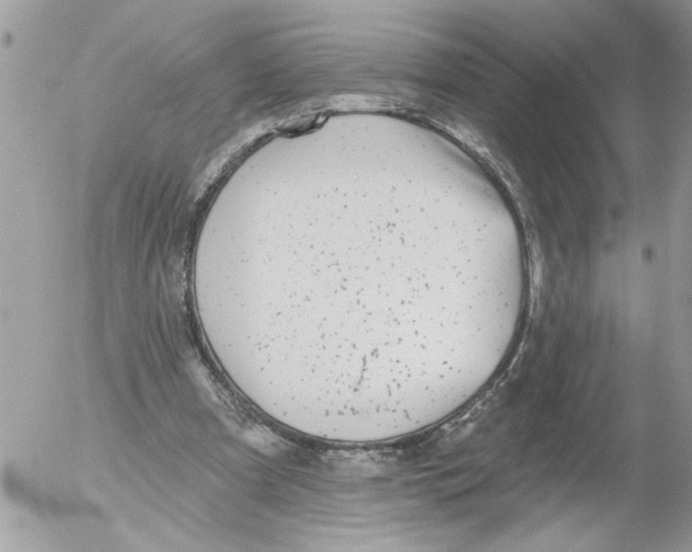 X0000052540297200507291857