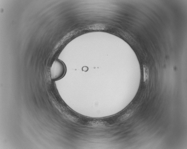 X0000052540300200507291857