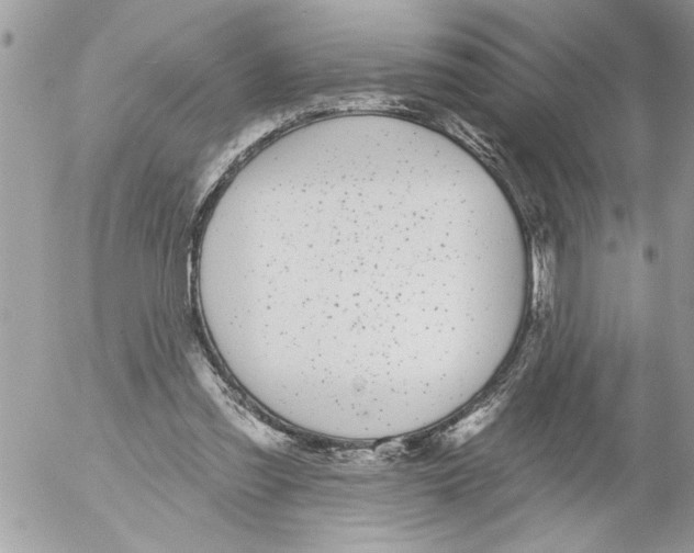 X0000052540301200507291857