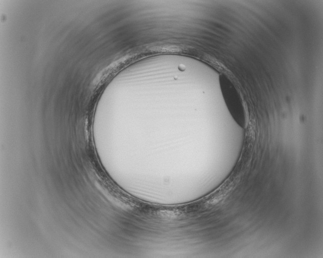 X0000052540302200507291857