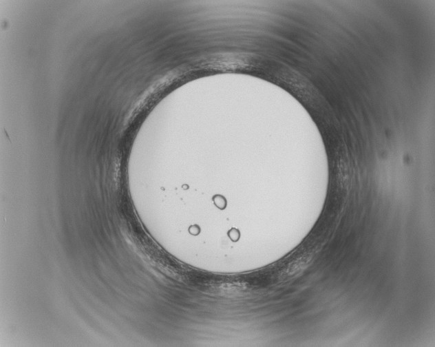 X0000052540304200507291857