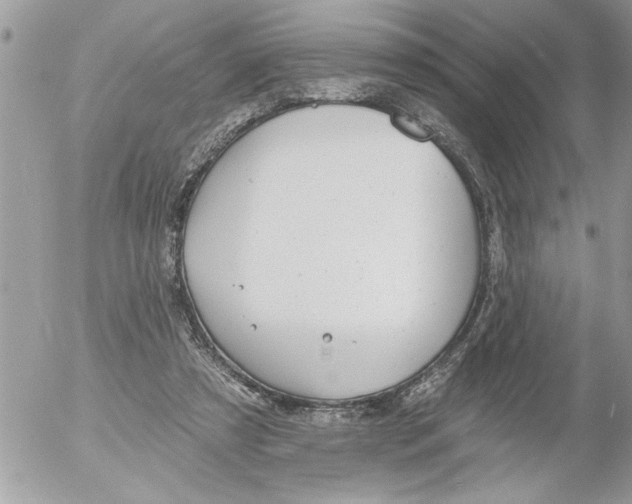 X0000052540305200507291857