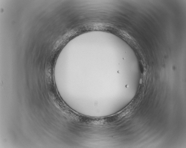 X0000052540306200507291857