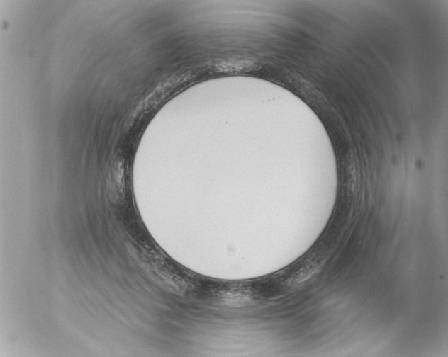 X0000052540308200507291857