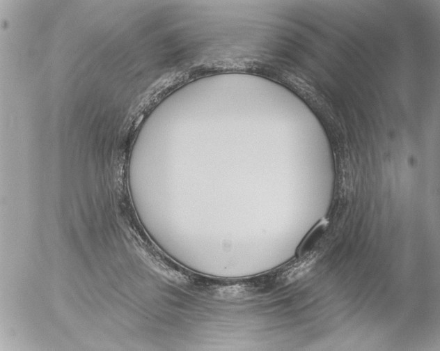 X0000052540309200507291857