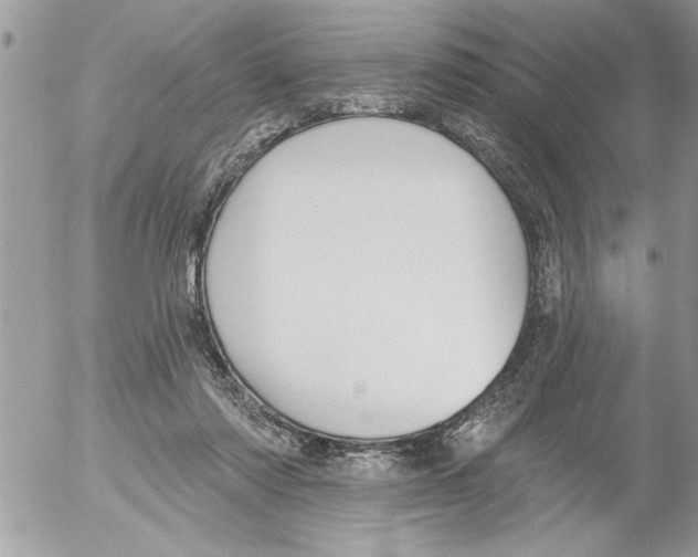 X0000052540310200507291857