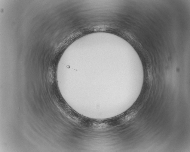 X0000052540311200507291857