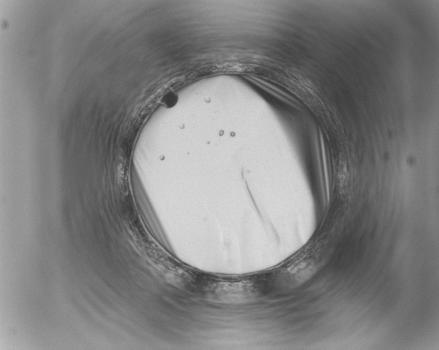 X0000052540314200507291857