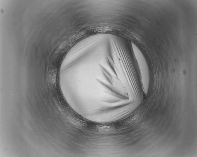 X0000052540315200507291857