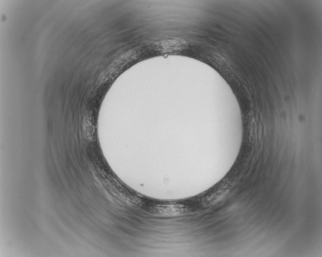 X0000052540316200507291857