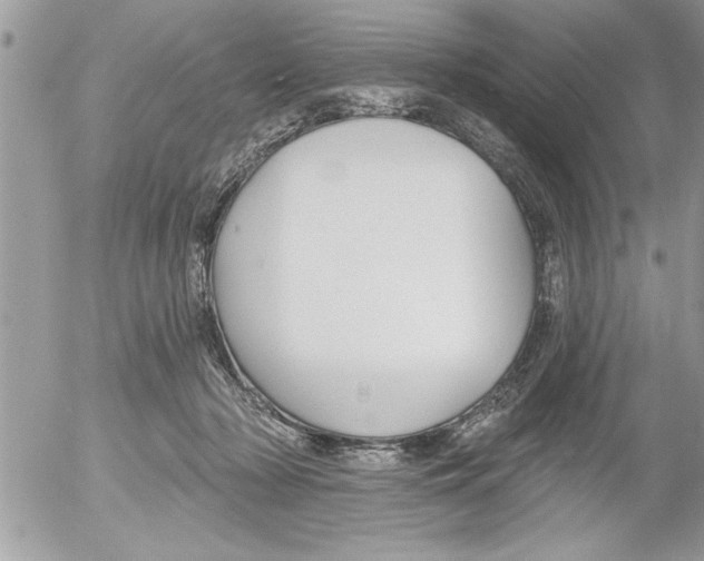 X0000052540318200507291857