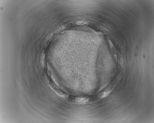 X0000052540319200507291857