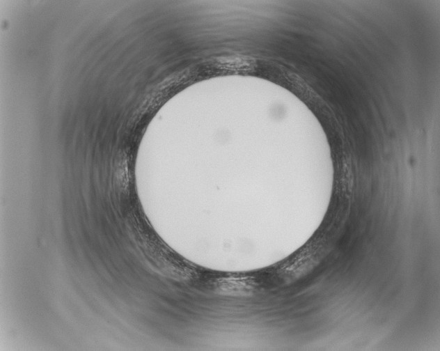 X0000052540320200507291857