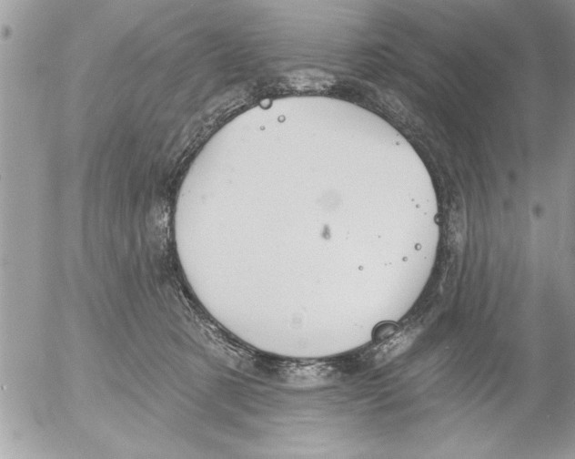 X0000052540321200507291857