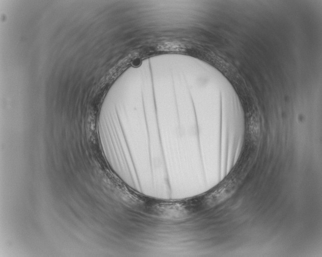 X0000052540322200507291857