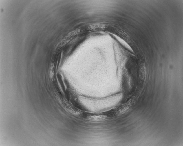 X0000052540323200507291857