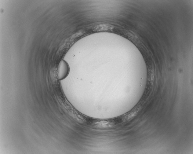 X0000052540326200507291857