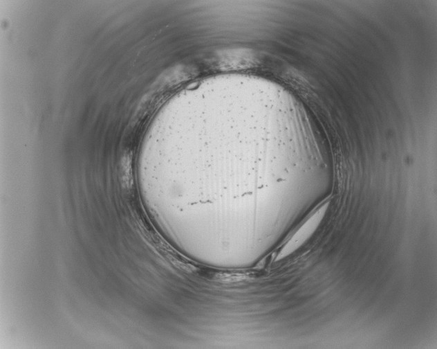 X0000052540327200507291857