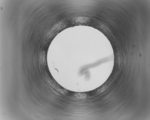 X0000052540328200507291857