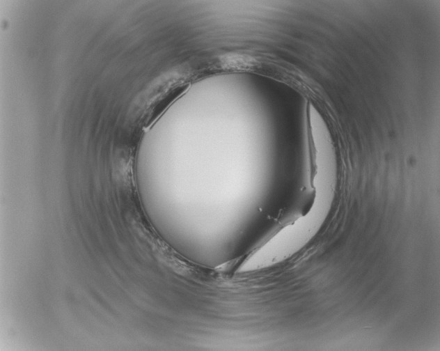 X0000052540329200507291857