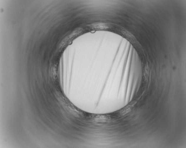 X0000052540330200507291857