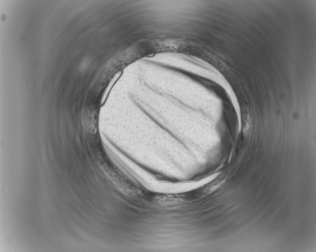 X0000052540331200507291857