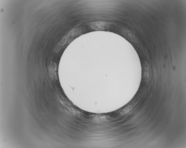 X0000052540332200507291857