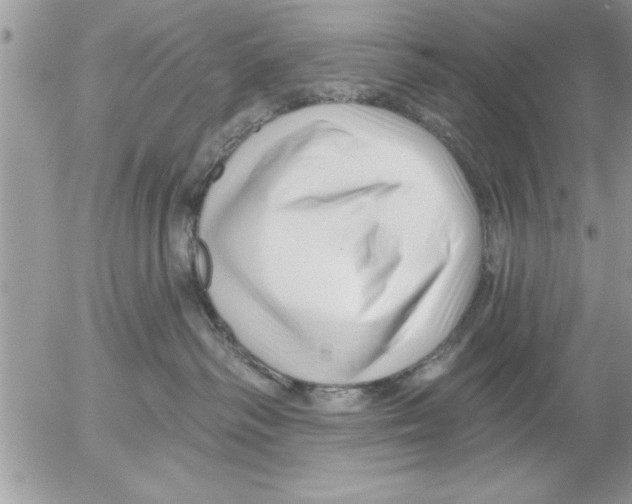 X0000052540334200507291857