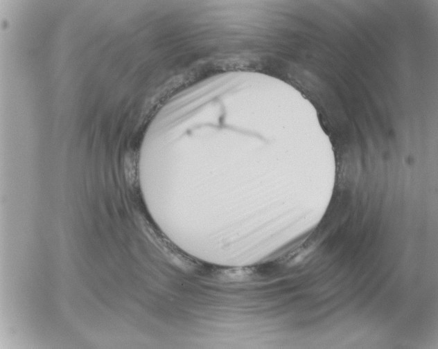 X0000052540335200507291856