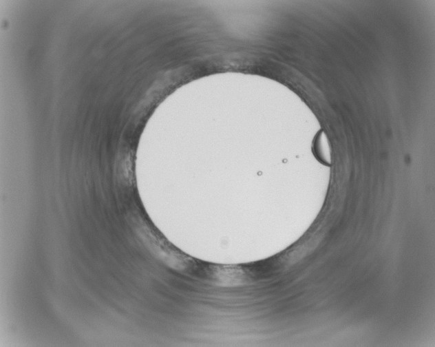 X0000052540336200507291856