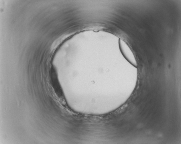 X0000052540337200507291856