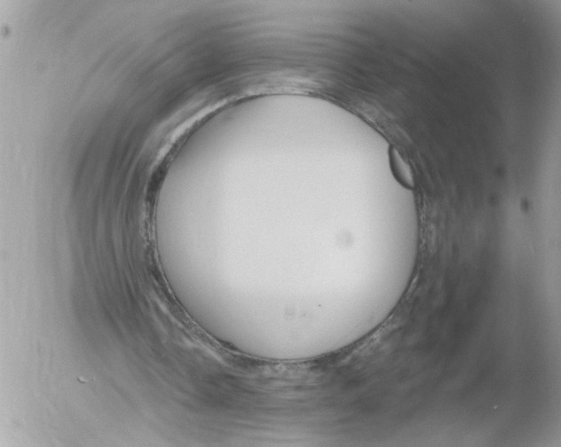 X0000052540338200507291856