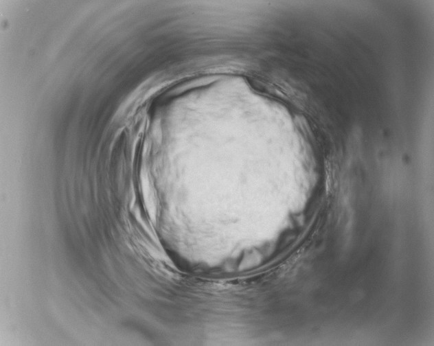 X0000052540339200507291856