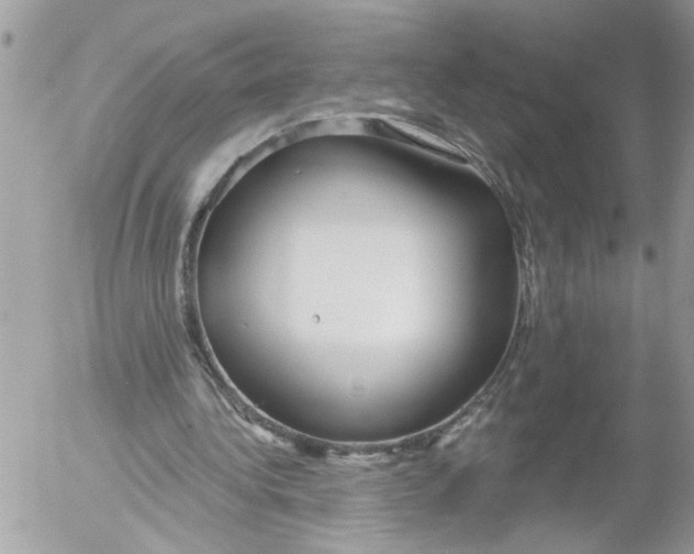 X0000052540340200507291856