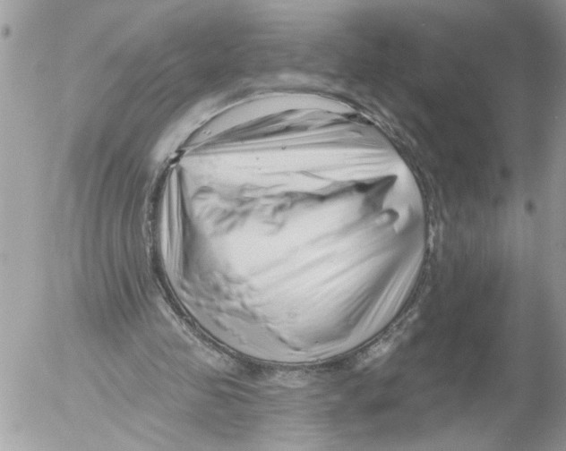 X0000052540341200507291856